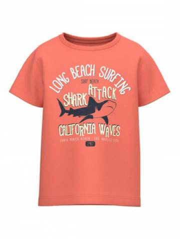 NAME IT Футболка 13215002 Оранжевий Loose Fit NAME IT Футболка 13215002 Оранжевий Loose Fit