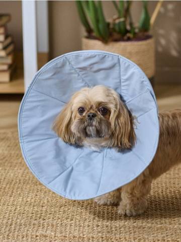 Захисний комір для собаки - блакитний