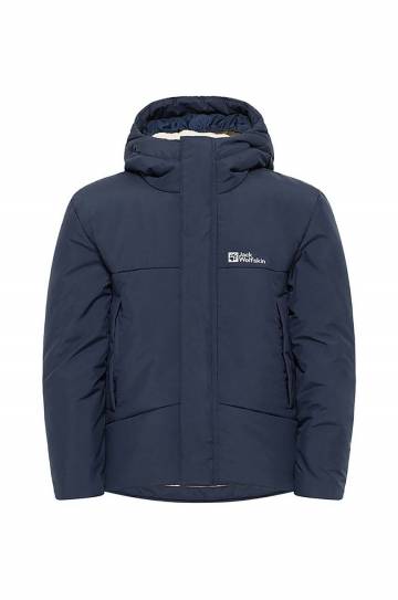 Детская зимняя куртка Jack Wolfskin цвет синий A61847 Детская зимняя куртка Jack Wolfskin цвет синий A61847