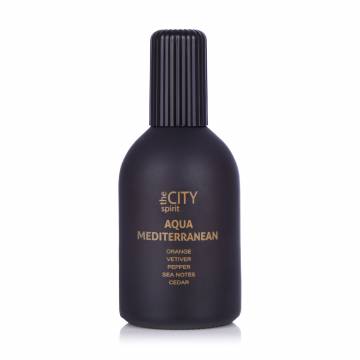The City Spirit Aqua Mediterranean Туалетная вода мужская, 115 мл The City Spirit Aqua Mediterranean Туалетная вода мужская, 115 мл