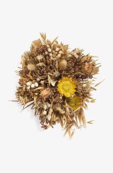 Букет сушеных цветов Calma House Joon