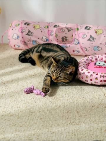 Іграшка для котів 2 pack Hello Kitty - різнобарвний Іграшка для котів 2 pack Hello Kitty - різнобарвний