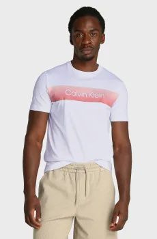 Мужская белая футболка LINEAR OMBRE Белый L Calvin Klein K10K114163