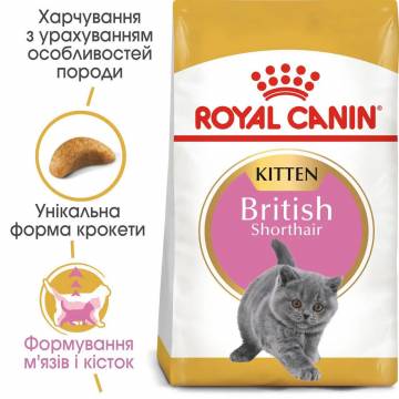 Сухой корм для котят породы британская короткошерстная Royal Canin British Shorthair Kitten, 10 кг (2566100)
