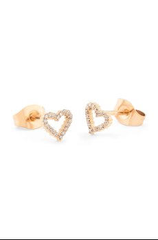 Сережки Daniel Wellington