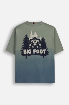 Детская хлопковая футболка Coccodrillo