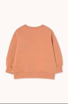 Детская хлопковая кофта Tinycottons FLOWERS EYES GRAPHIC SWEATSHIRT