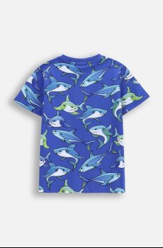 Хлопковая футболка Coccodrillo