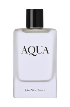 Gian Marco Venturi Aqua Туалетная вода мужская, 100 мл