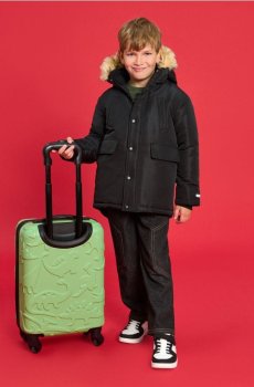 Валіза - свіжий зелений
