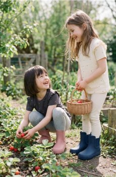 Бавовняні футболки 2 pack - різнобарвний