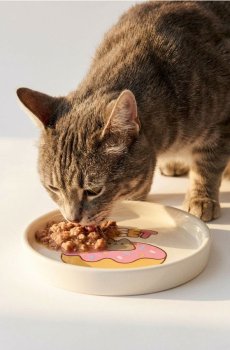 Керамічна миска для кота Pusheen the Cat - пастельний рожевий