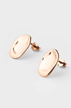 Серьги Необыкновенные