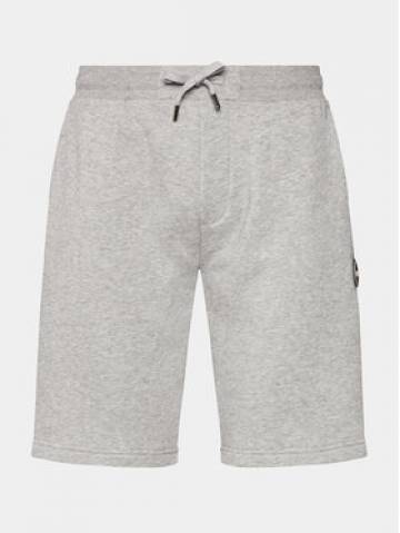 Colmar Спортивні шорти Connective 8244R 5WS Сірий Regular Fit Colmar Спортивні шорти Connective 8244R 5WS Сірий Regular Fit