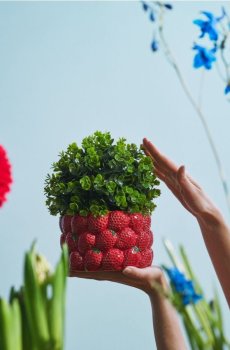 Чохол на горщик для квітів - червоний