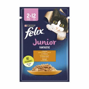 Влажный корм для котят Felix Fantastic Junior с курицей, кусочки в желе, 85 г Влажный корм для котят Felix Fantastic Junior с курицей, кусочки в желе, 85 г
