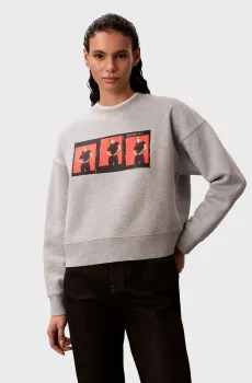 Женский серый свитшот OUTTAKES Серый L Calvin Klein LV040497WH