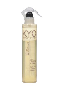 Несмываемый спрей-кондиционер для волос KYO Restructuring Biphasic Conditioner, 250 мл