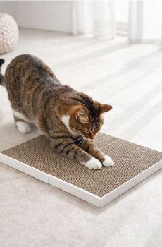 Картонний дряпачок для кота у формі книги - різнобарвний