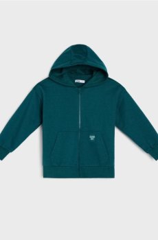 Худі на блискавці - синьо-зелений