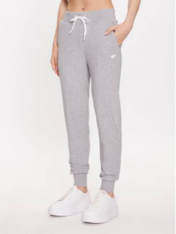 4F Спортивні штани 4FSS23TTROF229 Сірий Regular Fit 4F Спортивні штани 4FSS23TTROF229 Сірий Regular Fit