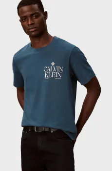 Мужская синяя футболка ROSES GRAPHIC Синий L Calvin Klein Jeans LV14RE801G