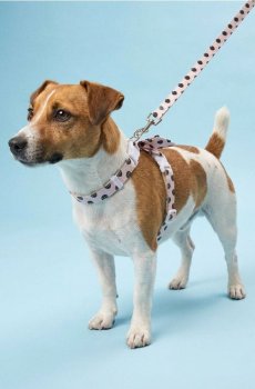 Шлейка для тварин у горошок з бантом - пастельний рожевий