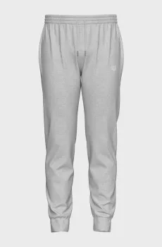 Мужские светло-серые спортивные брюки UNBRUSHED Серый L Arena 007690-520