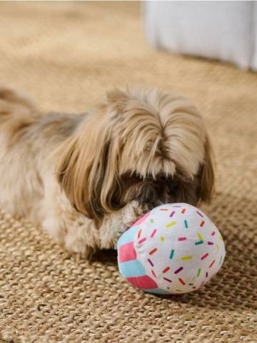 Іграшка для собак - різнобарвний Іграшка для собак - різнобарвний