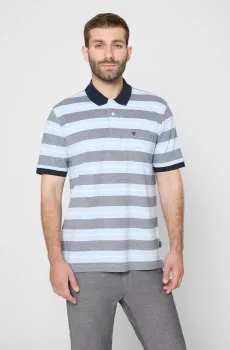 Мужское поло в полоску Разноцветный S Pierre Cardin PC.-C5 21424.2116