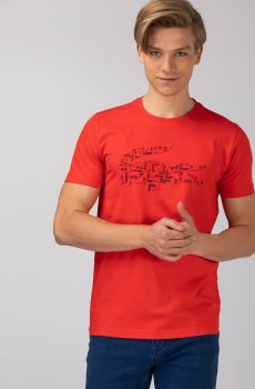 Lacoste футболка чоловіча