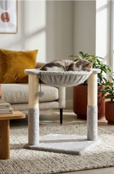 Когтеточка для кота з лежанкою та підвісною іграшкою - нюдовий