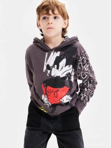 Desigual Світшот 23WBTK04 Сірий Regular Fit Desigual Світшот 23WBTK04 Сірий Regular Fit