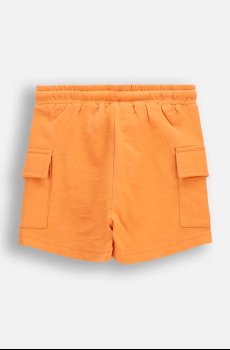 Шорты Coccodrillo