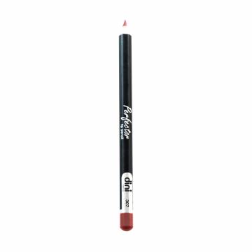 Карандаш для губ Dini Perfector Lip Pencil 307, 2 г Карандаш для губ Dini Perfector Lip Pencil 307, 2 г