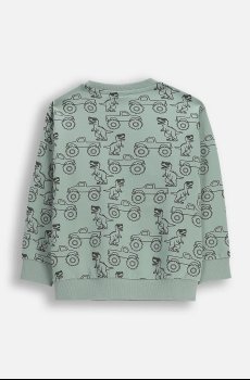Детская кофта Coccodrillo