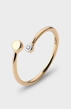 Кольцо До встречи