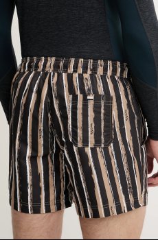 Купальные шорты BOSS Discus