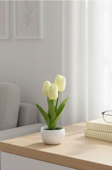 Декоративні тюльпани в горщику - кремовий
