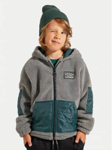 Coccodrillo Світшот ZC4132501ABK Сірий Regular Fit Coccodrillo Світшот ZC4132501ABK Сірий Regular Fit