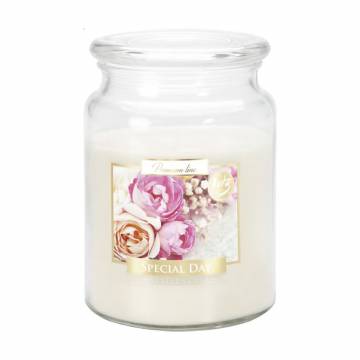 Ароматическая свеча Bispol Scented Candle Special Day, 500 г (snd99-288) Ароматическая свеча Bispol Scented Candle Special Day, 500 г (snd99-288)