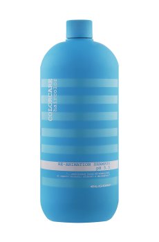 Восстанавливающий шампунь Elgon Colorcare Re-Animation Shampoo pH 5.5 для поврежденных волос, 1 л