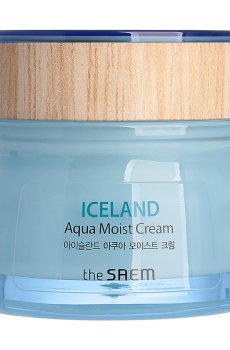 Крем для лица The Saem Iceland Aqua Moist Cream увлажняющий, 60 мл