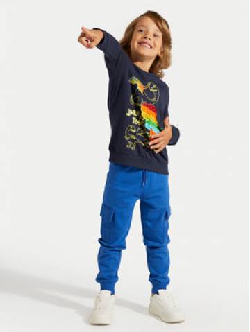 Coccodrillo Спортивні штани ZC4120201DBK Голубий Slim Fit Coccodrillo Спортивні штани ZC4120201DBK Голубий Slim Fit