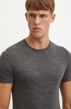 Функциональная футболка Icebreaker Merino 150 Anatomica
