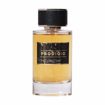 Diane Castel Prodigio Парфюмированная вода мужская, 100 мл Diane Castel Prodigio Парфюмированная вода мужская, 100 мл