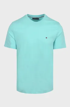 Мужская бирюзовая футболка SEASONAL REG FIT Бирюзовый S Tommy Hilfiger MW0MW39995