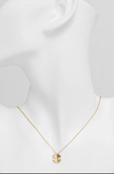 Позолоченное колье EDBLAD Lucky