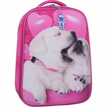Рюкзак Bagland Turtle 17 л. малиновий 593 (0013470) Рюкзак Bagland Turtle 17 л. малиновий 593 (0013470)