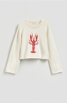 Reserved - Джемпер з вишивкою - нюдовий - 348HI-02X